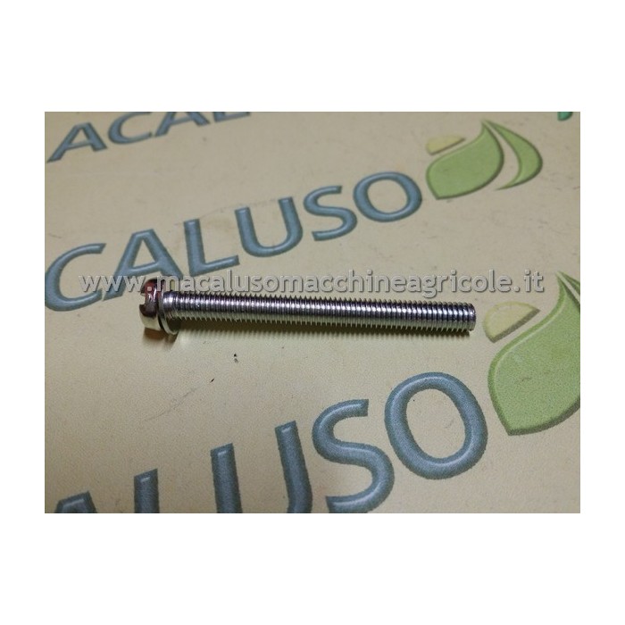 Vite registro catena per motosega Zenoah G3800