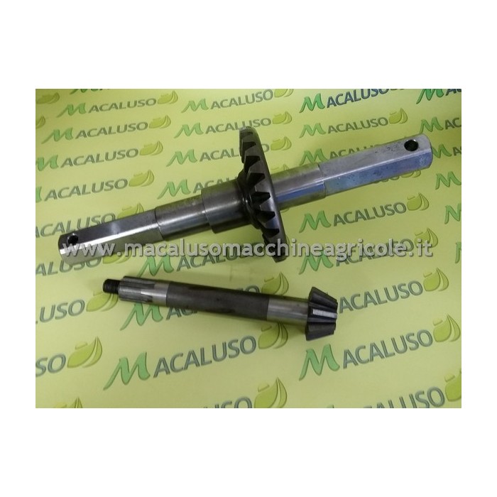 Coppia conica ad. a Sottochioma Brumi completa di pignone corna e asse, tipo 234101063