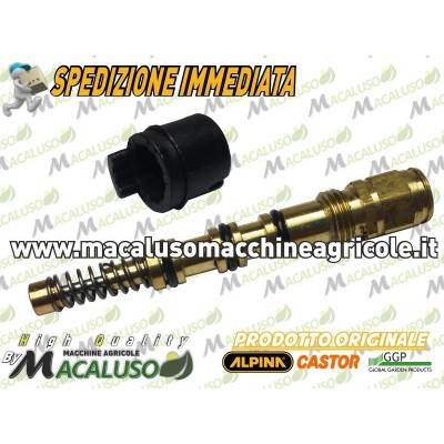 Pompa olio Motosega Alpina Castor modello PR350 P34S 8630511