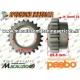 Ingranaggio folle motozappa Pasbo G94 G14 eurogreen sicilzappa Ingranaggio libero