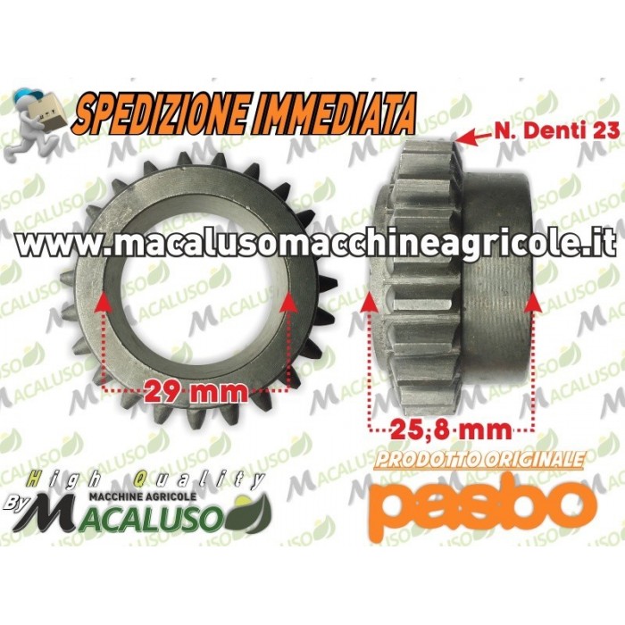 Ingranaggio folle motozappa Pasbo G94 G14 eurogreen sicilzappa Ingranaggio libero