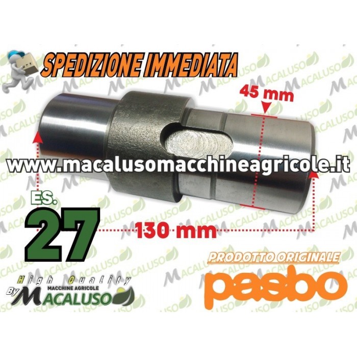 Albero porta corona motozappa Pasbo G72 G73 G83 es.27 asse fresa Sicilzappa Eurogreen Diesse