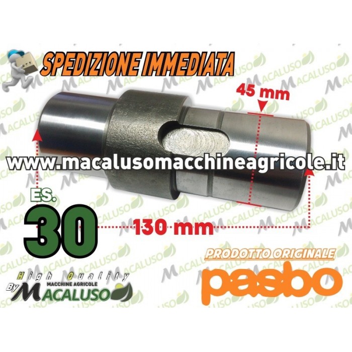 Albero porta corona motozappa Pasbo G94 es.30 asse fresa Sicilzappa Eurogreen Diesse 