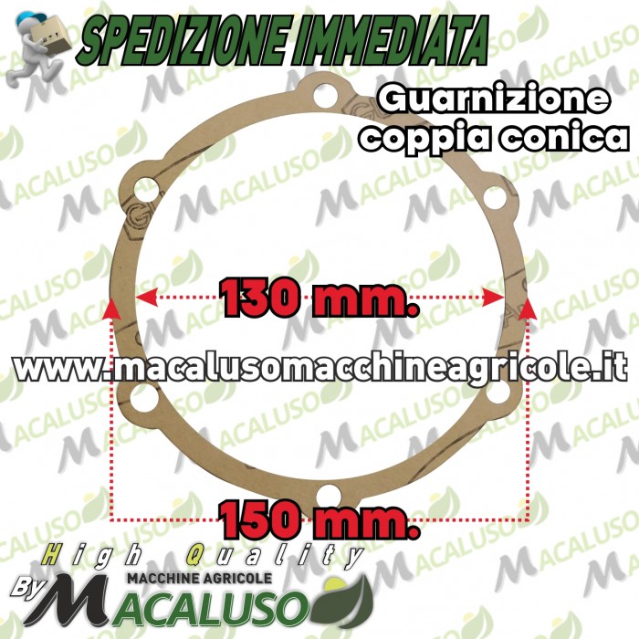 Guarnizione coppia conica motozappa Pasbo Eurogreen Diesse Sicilzappa pignone e corona