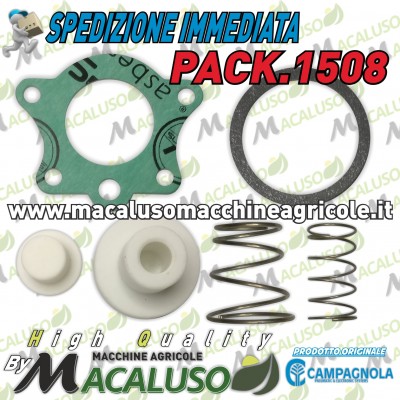 Kit revisione valvola pilota 3/4" motocompressore Hobby e professional Kit Campagnola revisione sicurezza PACK1508
