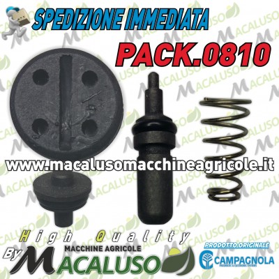Kit revisione impugnatura Campagnola asta abbacchiatore pneomatica interno valvola maniglia PACK 0810