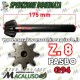 Coppia conica inferiore 8 29 motozappa Pasbo G94 eurogreen diesse sicilzappa