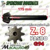 Pignone coppia conica inferiore 8 denti motozappa Pasbo G94 G84 eurogreen diesse sicilzappa