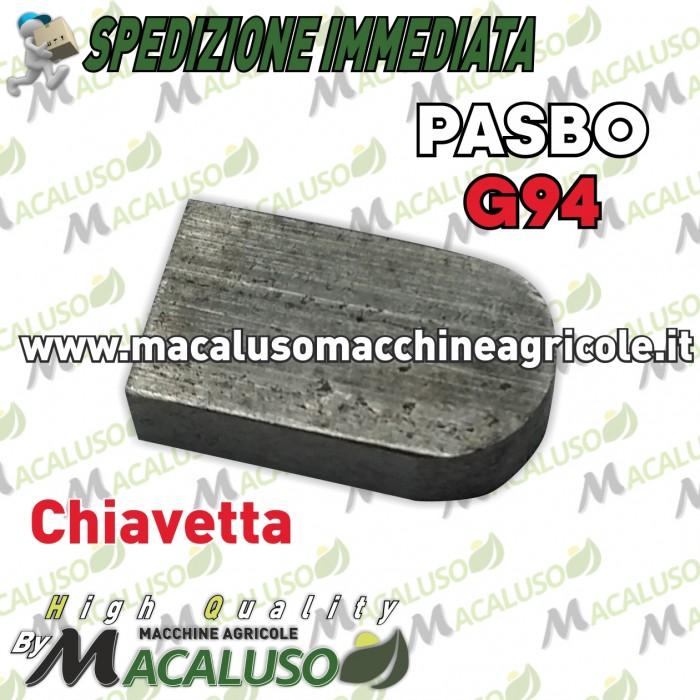 Chiavetta fermo coppia conica inferiore motozappa Pasbo G94 eurogreen diesse sicilzappa
