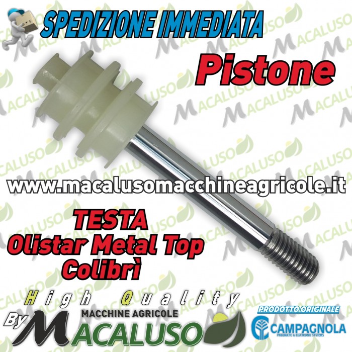 Pistone testa abbacchiatore pneumatico Campagnola Atra olistar metal top colibrì 0169 0151
