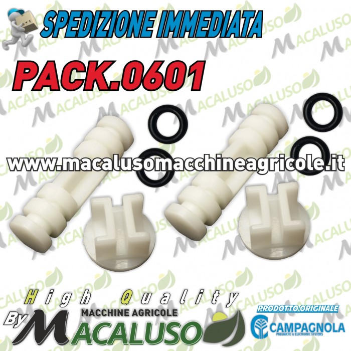 Kit 2 Pistoncino + Pastiglia x abbacchiatore pneumatico Campagnola PACK0601
