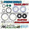 Kit guarnizioni Campagnola OLISTAR EVOLUZIONE serie gommini riparazione PACK0611