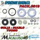 Kit guarnizioni Campagnola abbacchiatore Golia Diablo 1800 EVO Tuono EVO PACK0619