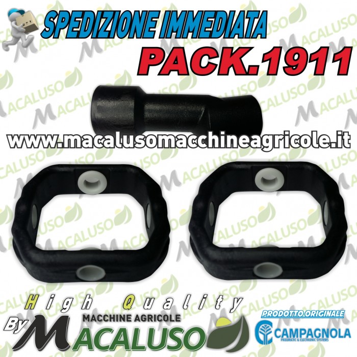 Kit manutenzione abbacchiatore Alice Campagnola sferzatore PACK1911