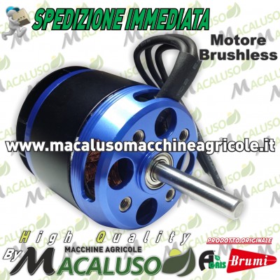 Motore Brushless per Olispeed Evolution Brumi Agris 451100071