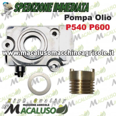Pompa olio con chiocciolina Motosega Alpina Castor P540 P550 P600 P610 P660 8152910