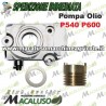 Pompa olio e chiocciolina Motosega Alpina Castor P540 P600 vite senza fine 