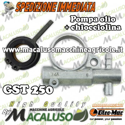 Pompa olio e chiocciolina Motosega Oleo mac GST250 Efco MTT2500 Emak gst 250 mtt 2500