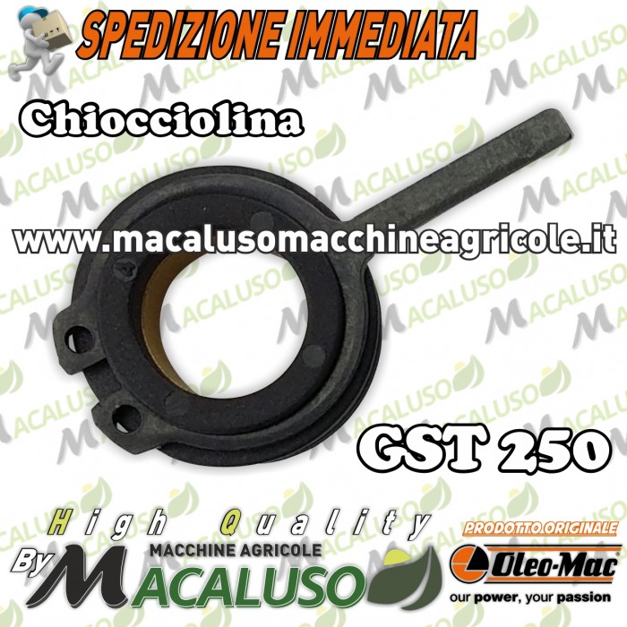Chiocciolina pompa olio Motosega potatura Oleomac Emak GST250 vite senza fine