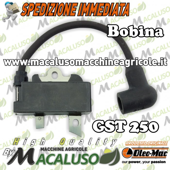Bobina Motosega Oleomac GST250 Efco MTT2500 modulo accensione Emak gst 250 mtt 2500