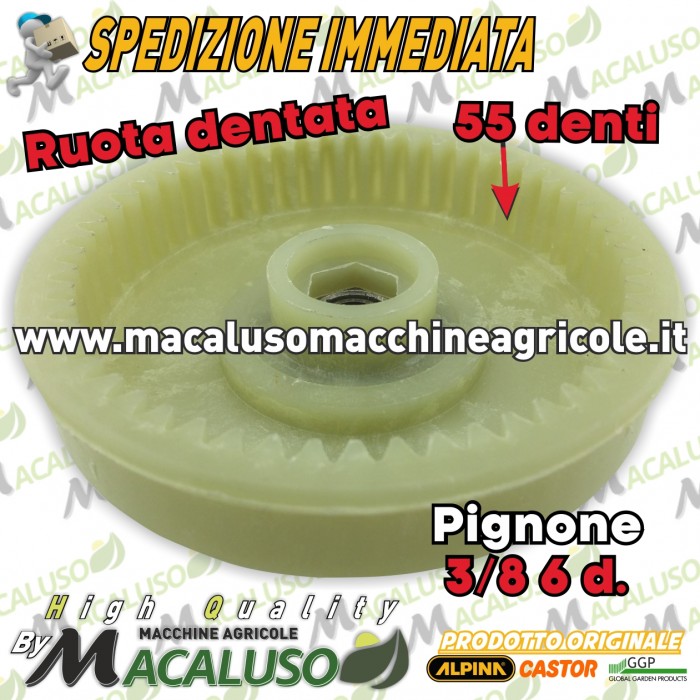 Ingranaggio elettrosega Alpina Castor Castelgarden GPP ruota dentata passo 3/8" 6 denti