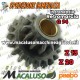 Ingranaggio retromarci motozappa Pasbo G94 doppio z20 z13 diesse sicilzappa