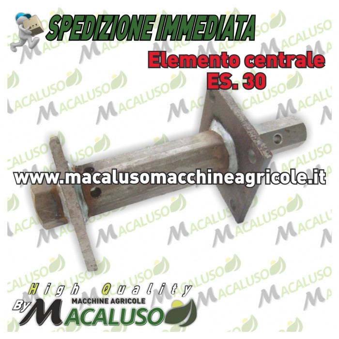 Primo elemento centrale fresa esagono 30 Motozappa Pasbo G94 G84 G14 porta zappette