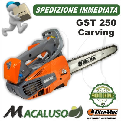 Motosega Oleo Mac GST 250 barra carving potatura efco mtt 2500 gst250