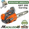 Motosega Oleo Mac GST 250 barra carving potatura efco mtt 2500 gst250