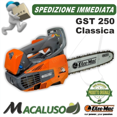 Motosega Oleo Mac GST 250 barra classica catena efco potatura mtt 2500 gts250