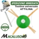 Testina universale "ATTILINA" TF35 4 fori