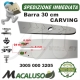 Barra Carving 12" Cm. 30 Stihl motosega MS192T MS200T MS201T passo 1/4 mm. 1,3 maglie 64 30050003205 spranga