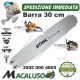 Barra Stihl 12" Cm.30 per motosega MS170 MS192T passo 3/8P da mm.1,3 maglie 44 art.30050004805 spranga