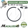Fascia elastica D 34 x 1,2 motosega Stihl MS150TC decespugliatore FS70 segmento 41440343003