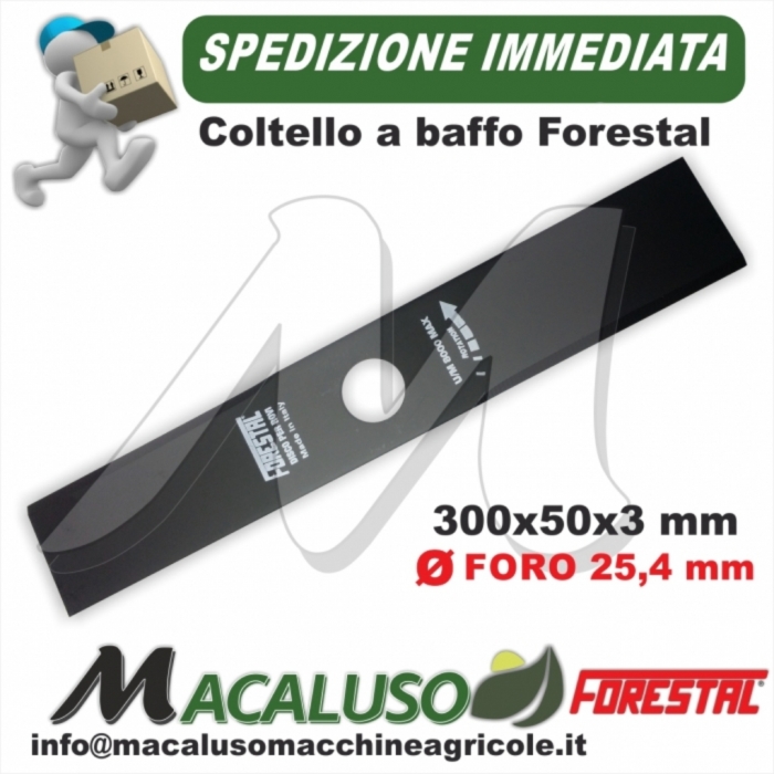 Disco Forestal 2 denti 300 x 50 x 3 foro 25,4 lama baffo coltello decespugliatore 