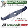 Disco Forestal rovi 2 denti 300 x 3 foro 25,4 lama ricurva decespugliatore coltello Mulching