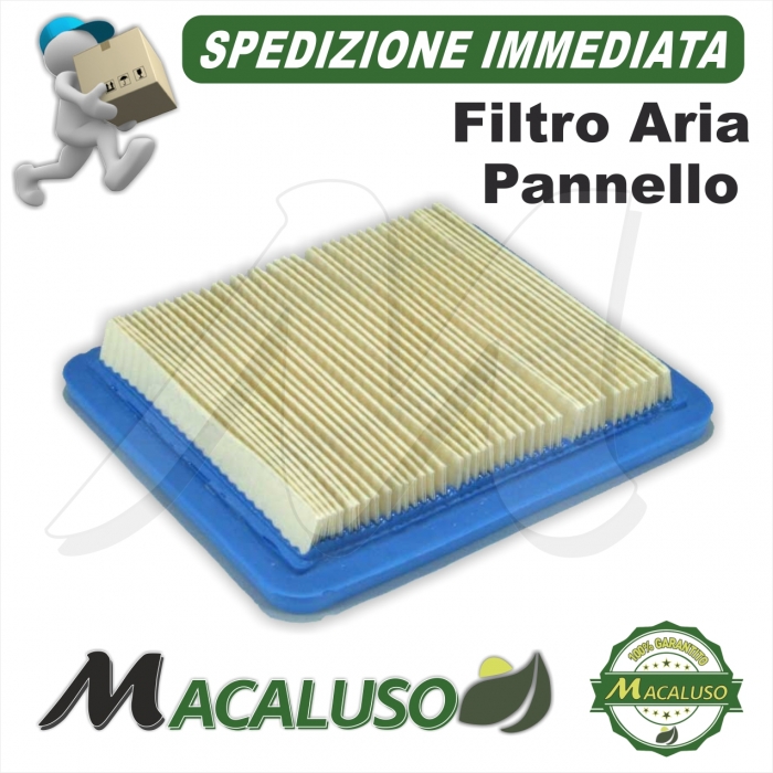 Filtro aria motore Honda e Briggs & Stratton depuratore cartuccia B&S pannello