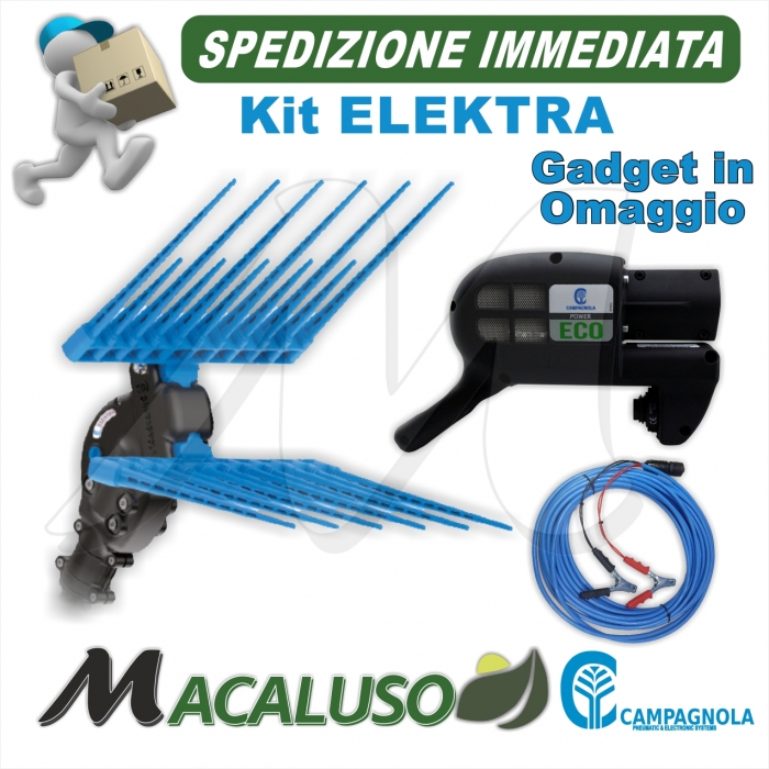 Abbacchiatore a Batteria Campagnola Elektra Asta Telescopica 150 cm 220 cm sferzatore
