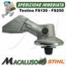 Testina completa decespugliatore Stihl FS120 FS200 FS250 riduttore scatola ingranaggi coppia conica 41376400100