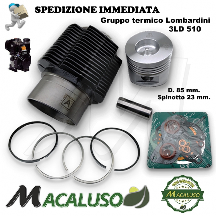 Cilindro pistone motore lombardini 3LD 510 3ld510 Gruppo termico revisione ad. 4898 002