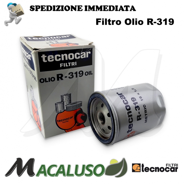 Cartuccia filtro olio R-319 specifico Opel Kadett Vectra Astra Diesel R319 offerta