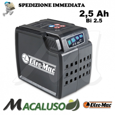 Batteria Oleo Mac BI 2,5 ioni di litio 40 volt BCI30 BVI60 GI40P GI44P HCI45 2,5 Ah accumulatore 54030001