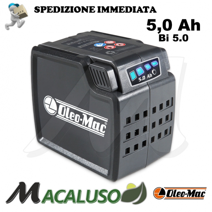 Batteria Oleo Mac BI 5,0 ioni di litio 40 volt BCI30 BVI60 GI40P GI44P HCI45 GSI30 5,0 Ah accumulatore 54030031