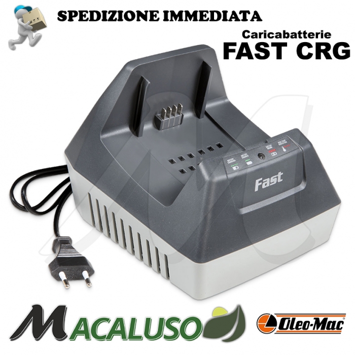 Caricaatteria Oleo Mac Efco FAST CRG rapido Carica Batterie BI 2,0 BI 2,5 BI 5,0 caricatore 54030018