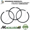 Fasce elastiche motore Ruggerini RF 80 RD 81 Acme ADM 37 D. 80,5 1 Maggiorazione serie segmenti compressione 2341