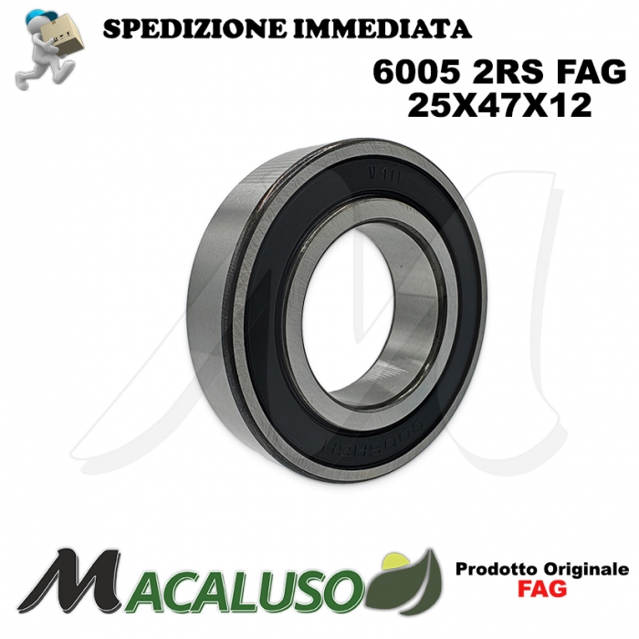 Cuscinetto a sfera 6005 2RS Fag diametro interno 25 mm esterno 47 mm spessore 12 mm radiale