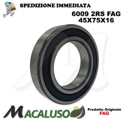 Cuscinetto a sfera 6009 2RS Fag diametro interno 45 mm esterno 75 mm spessore 16 mm radiale