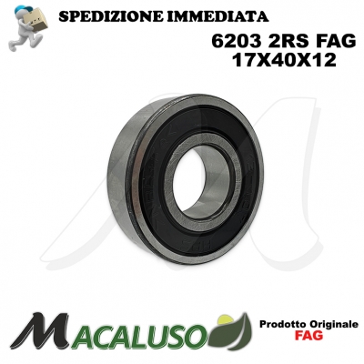 Cuscinetto a sfera 6203 2RS Fag diametro interno 17 mm esterno 40 mm spessore 12 mm radiale