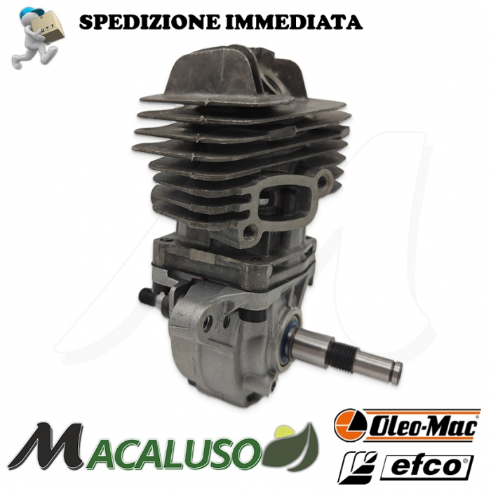 Motore ompleto Motosega Oleomac GST 250 Efco MTT 2500 Emak gst 250 mtt 2500 blocco motore short block