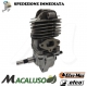 Motore ompleto Motosega Oleomac GST 250 Efco MTT 2500 Emak gst 250 mtt 2500 blocco motore short block